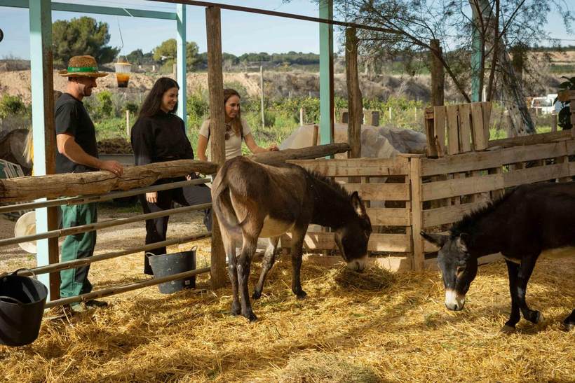 Familias con niños durante la visita guiada por la finca Ecoland en Pilar de la Horadada, Alicante